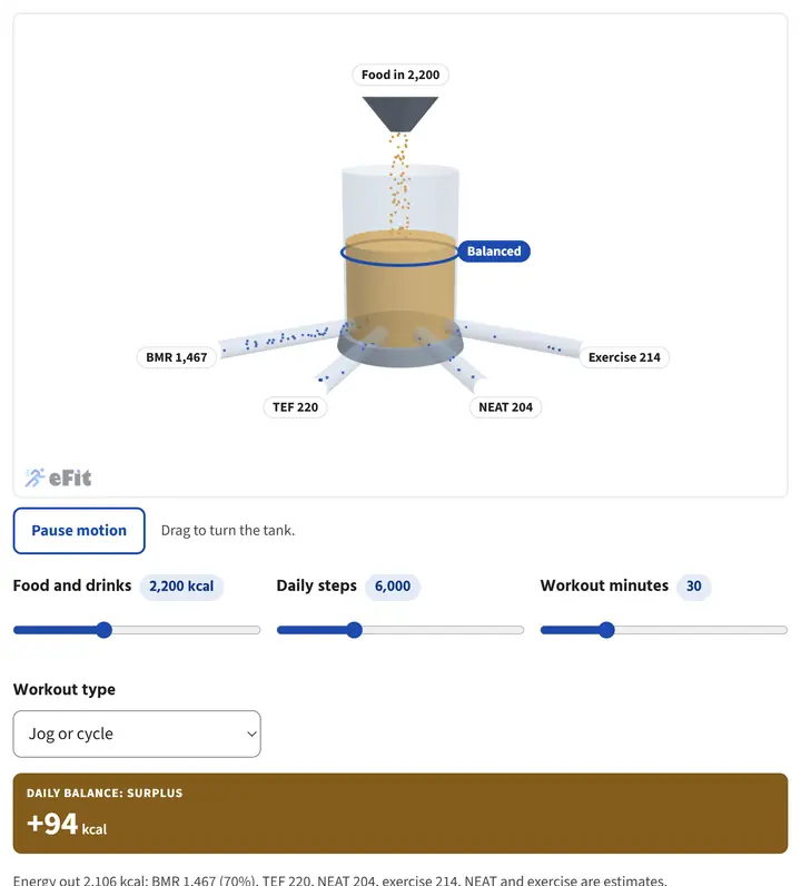 The Energy Balance Machine lab screenshot