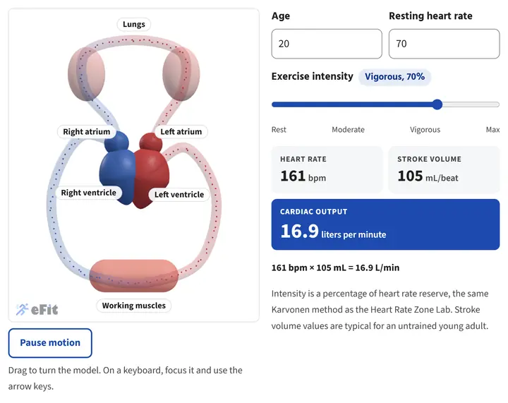 Your Heart at Every Intensity lab screenshot
