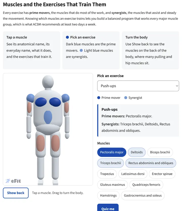 Muscles and the Exercises That Train Them lab screenshot