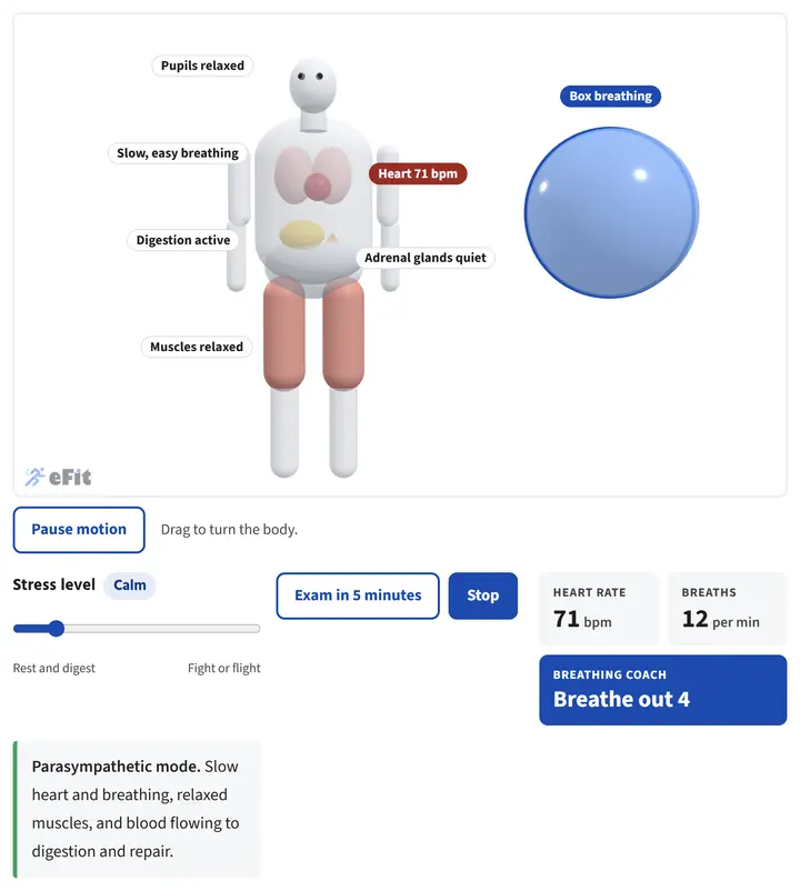 Stress Response and Box Breathing lab screenshot